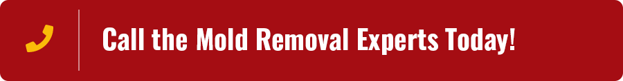 Camp Verde AZ Mold Removal Services